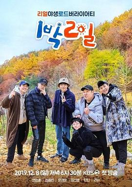 不再回头我的爱已彻底过期